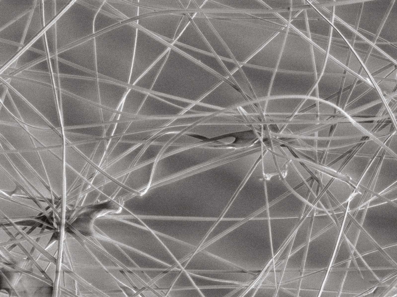 structure of MINOLON sheet structure of MINOLON sheet