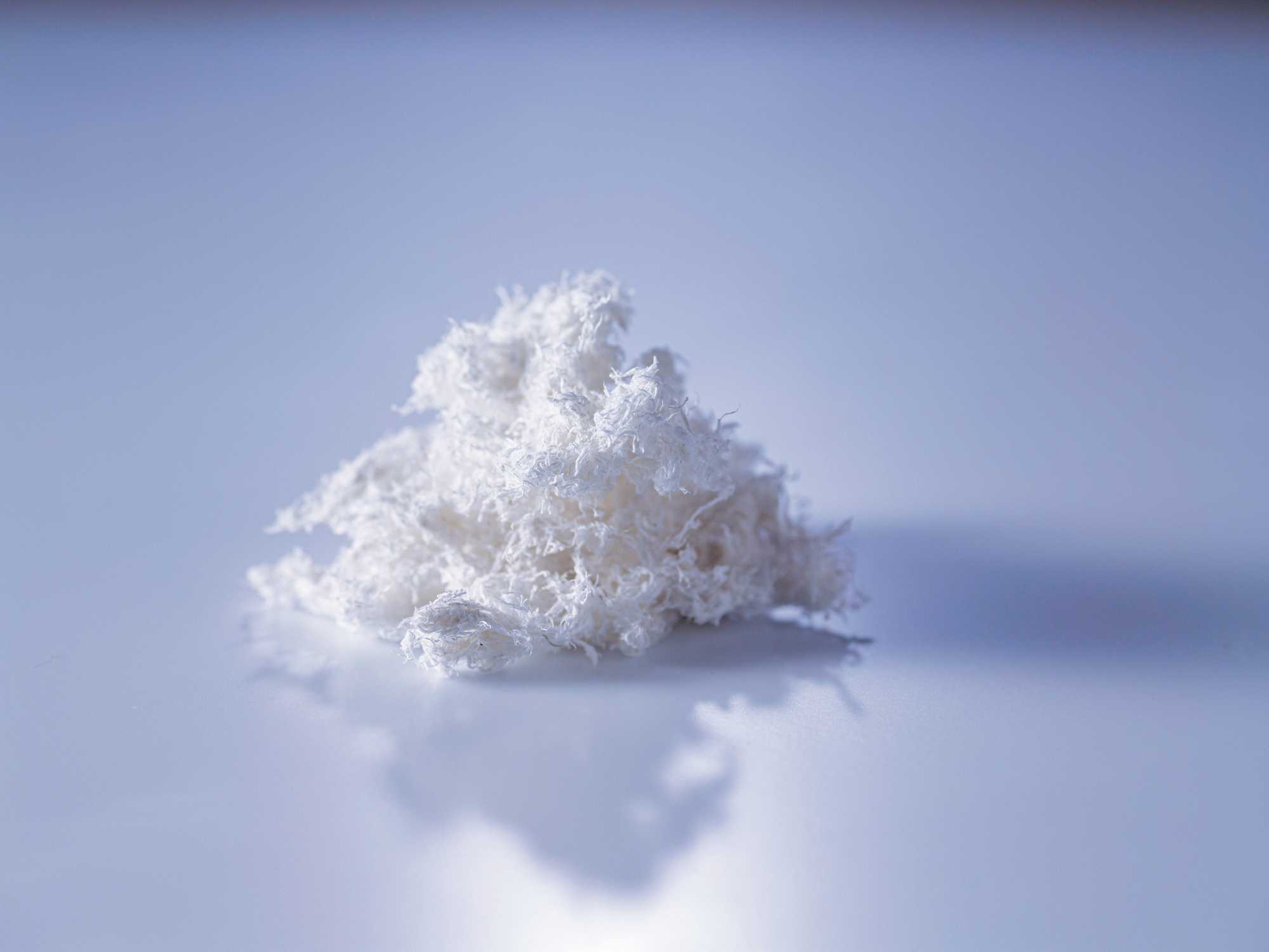 短繊維化したミノムシ繊維 短繊維化したミノムシ繊維