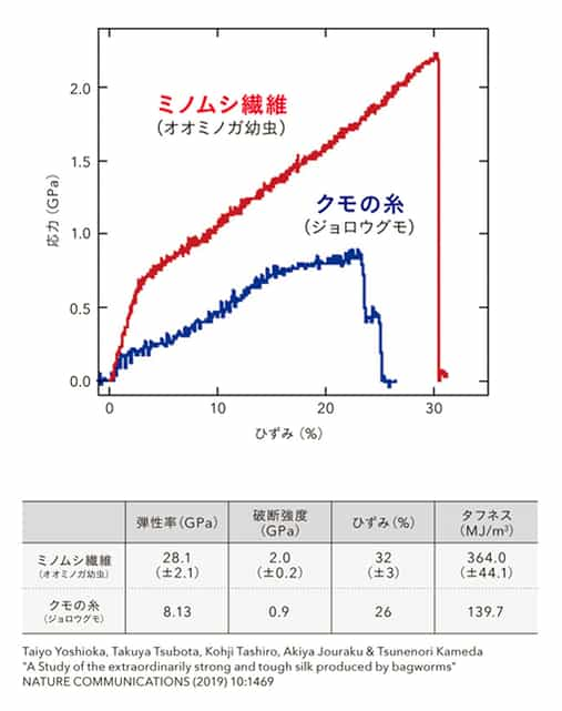 ミノムシ繊維とクモの糸の物性比較グラフ