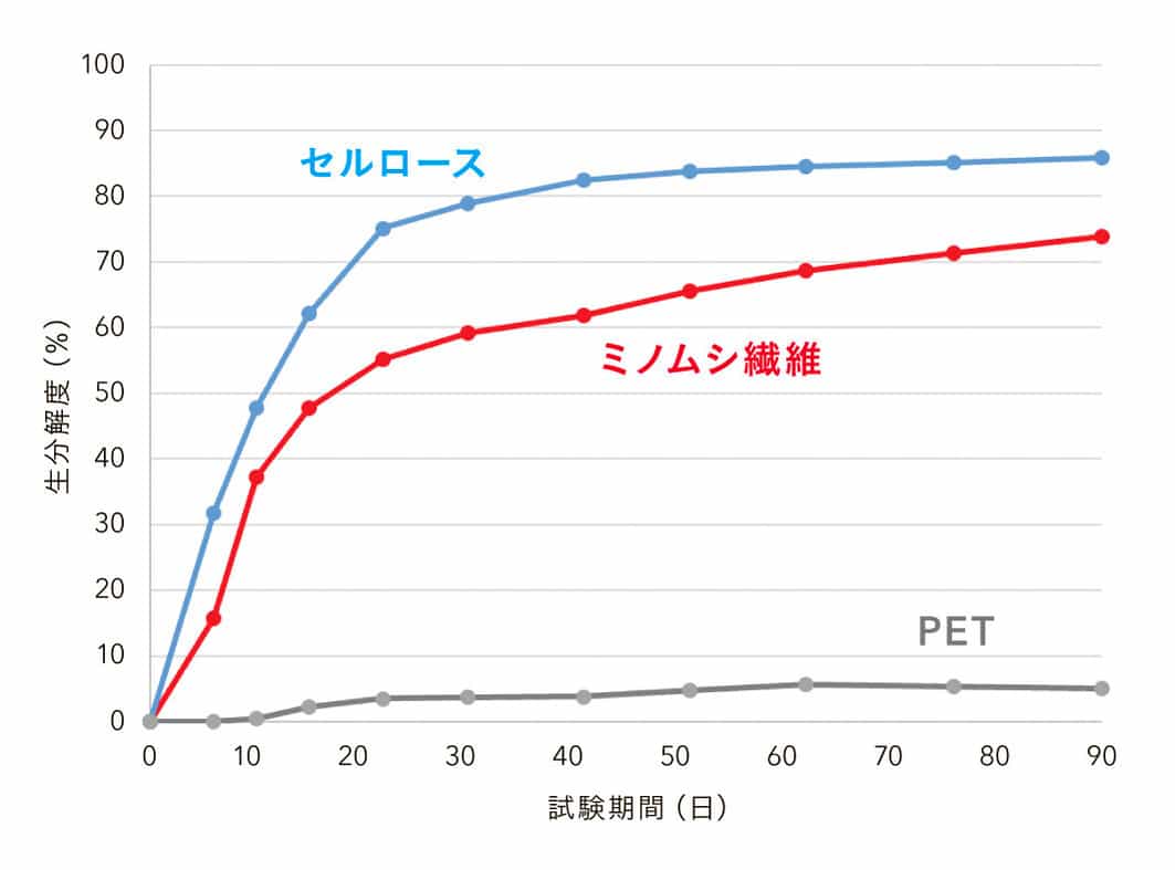 海洋環境下で行われたミノムシ繊維の分解試験結果 海洋環境下で行われたミノムシ繊維の分解試験結果